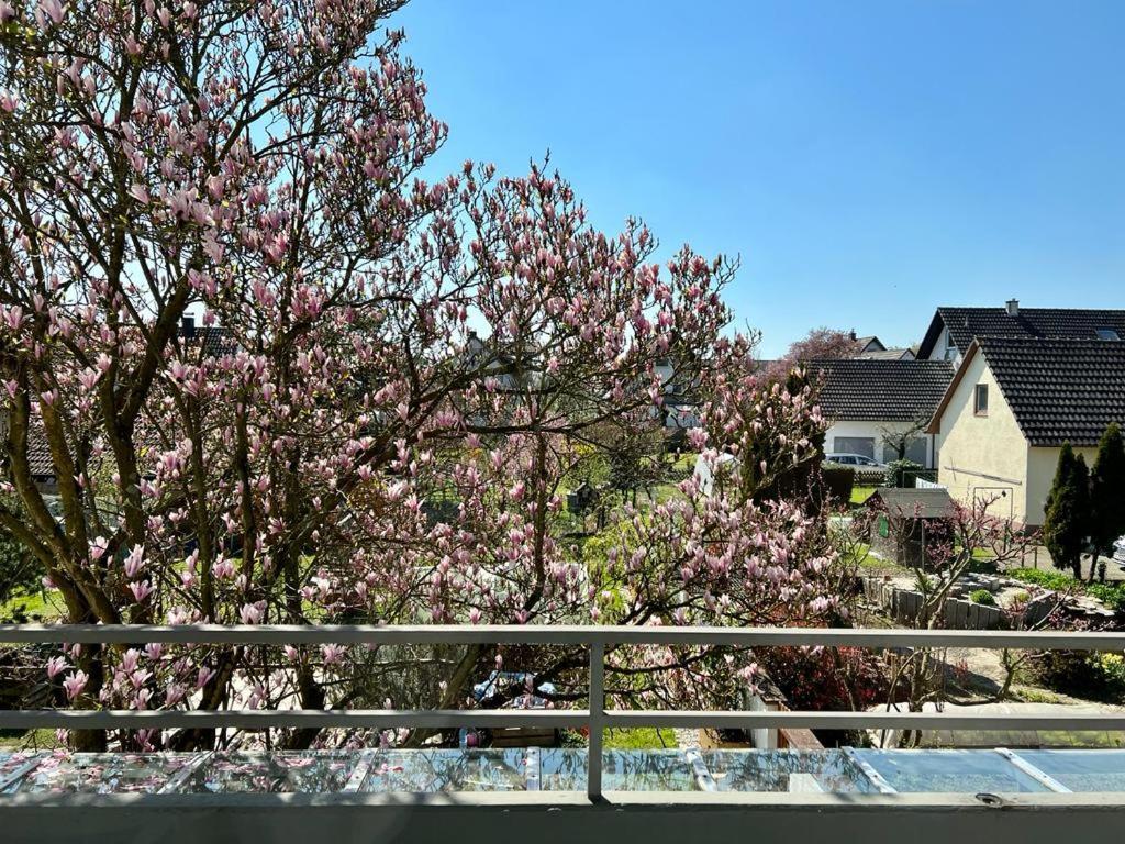 Ferienwohnung Verma Schwanau Exterior foto